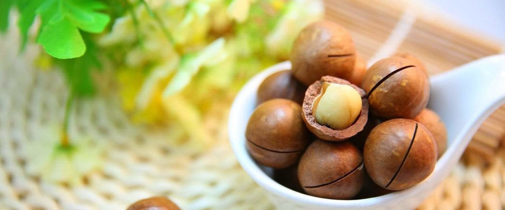 How do you know when macadamia nuts are ready to eat?