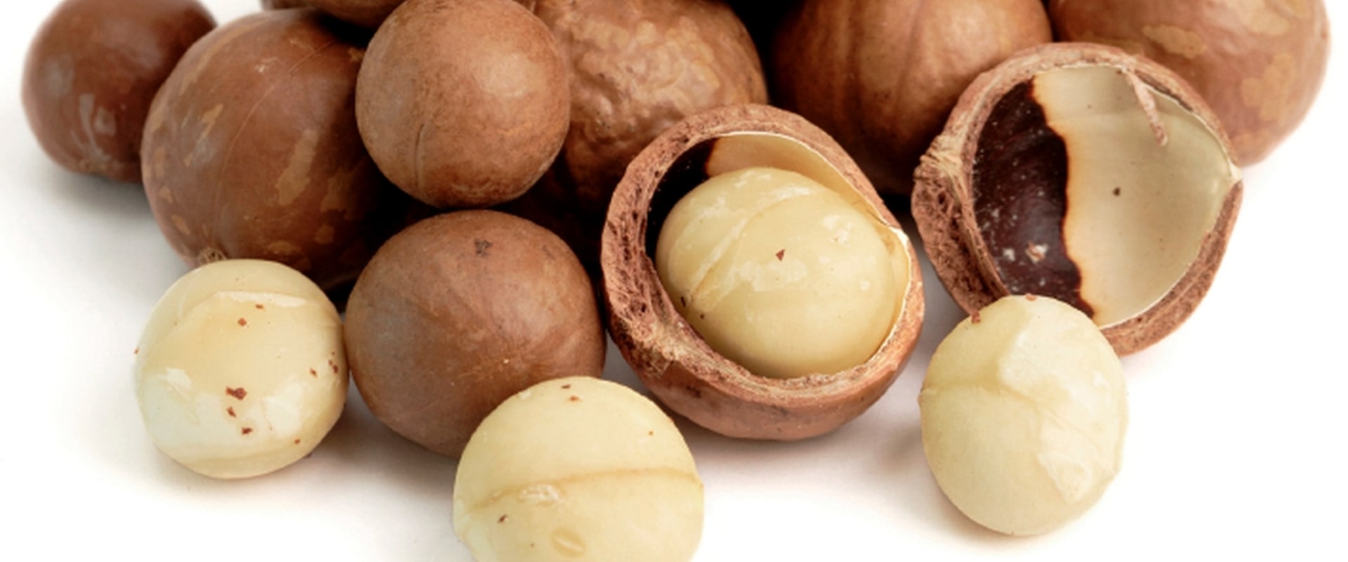 Bulk macadamia nuts for sale?