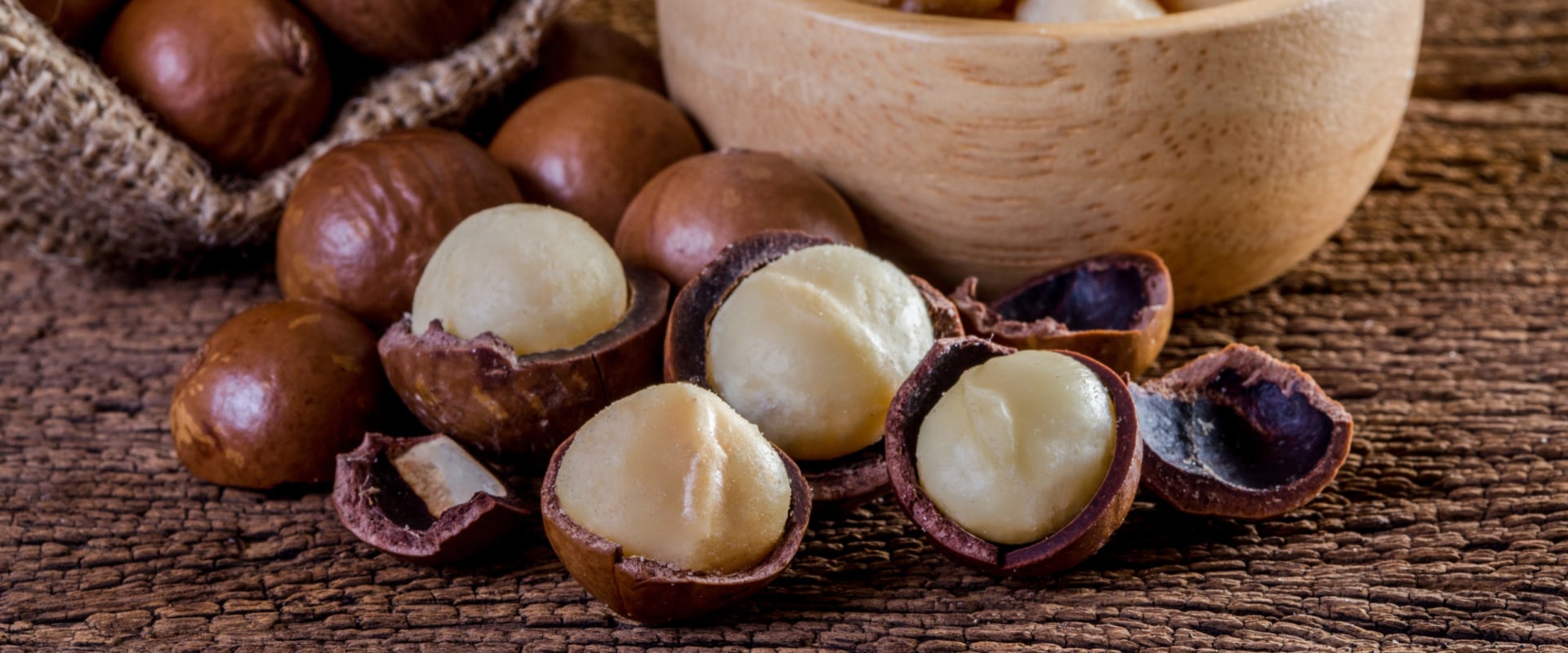 When season do macadamia nuts ripen?
