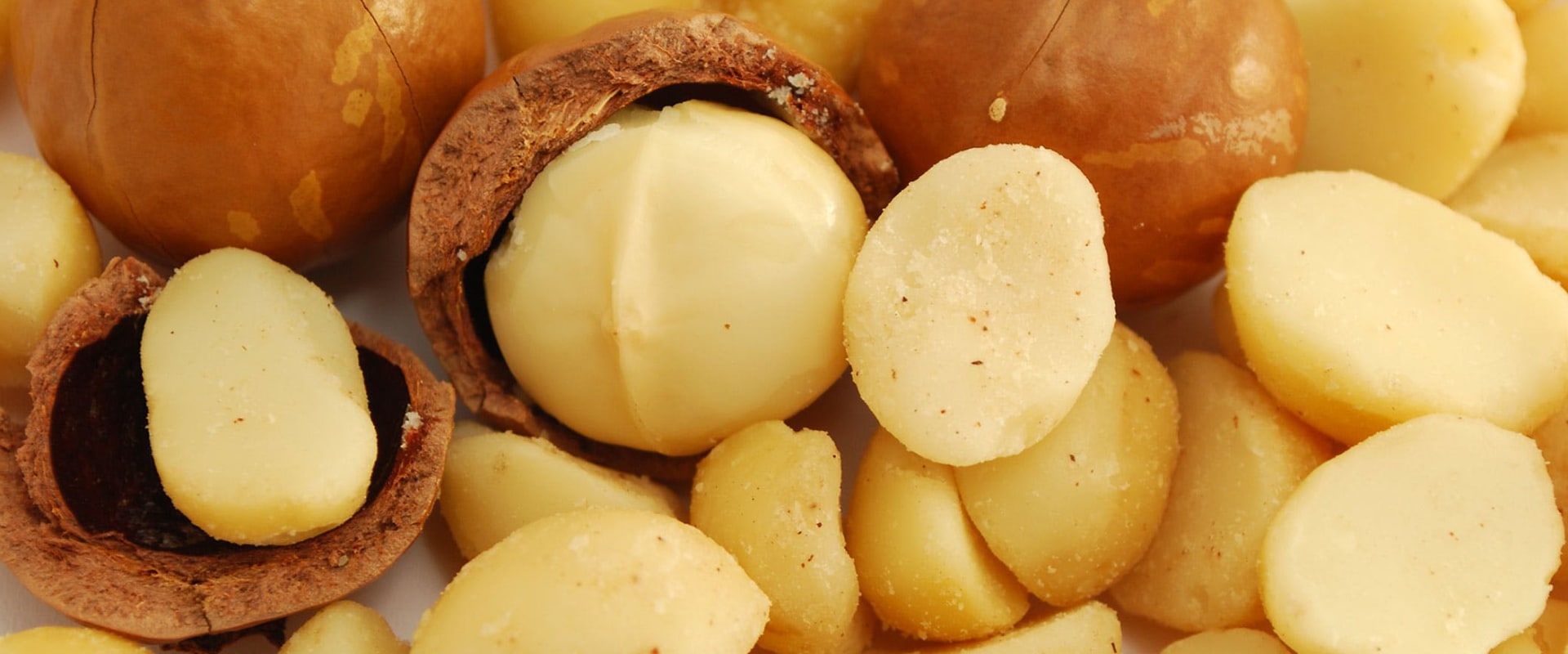 Can you get sick from macadamia nuts?