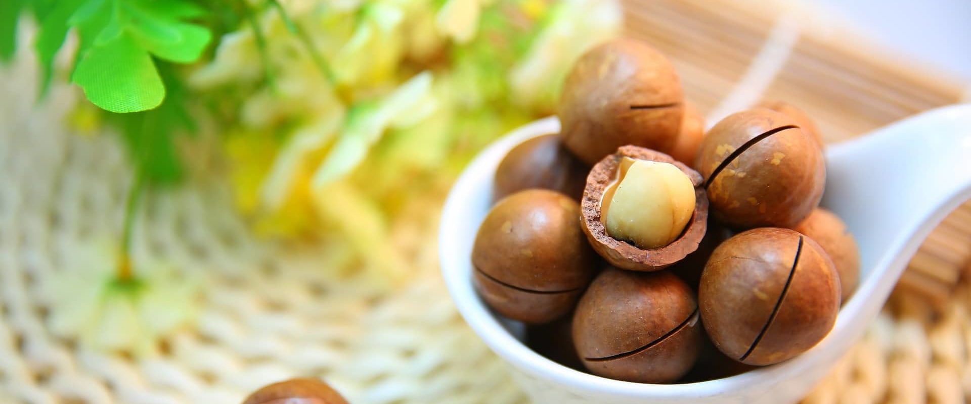 Do macadamia nuts cause weight gain?