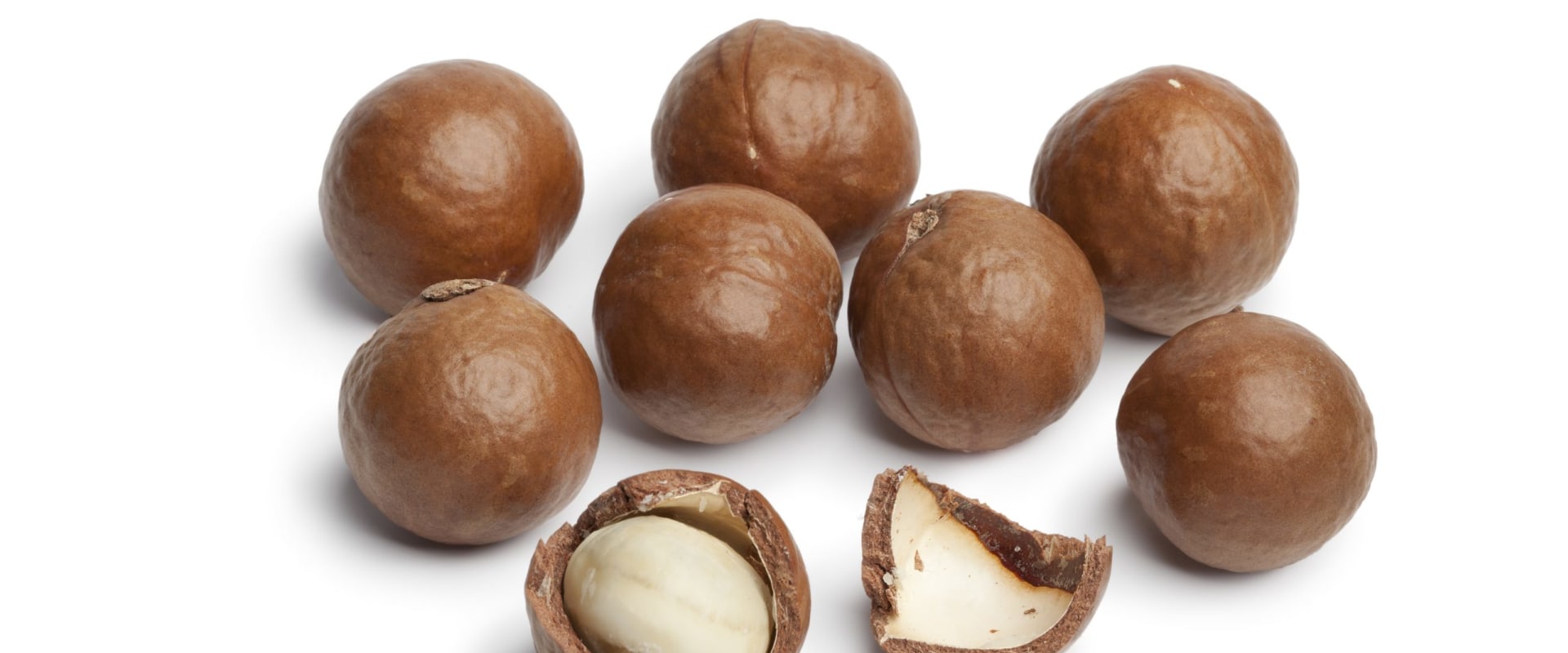 Who buys macadamia nuts?