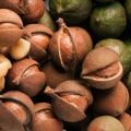How many nuts does a macadamia tree produce?