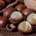 When season do macadamia nuts ripen?