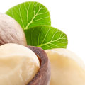 Which country has the best macadamia nuts?
